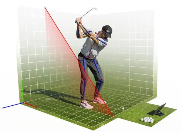 LiveView Pro 2 Swing Camera