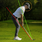 LiveView Pro 2 Swing Camera