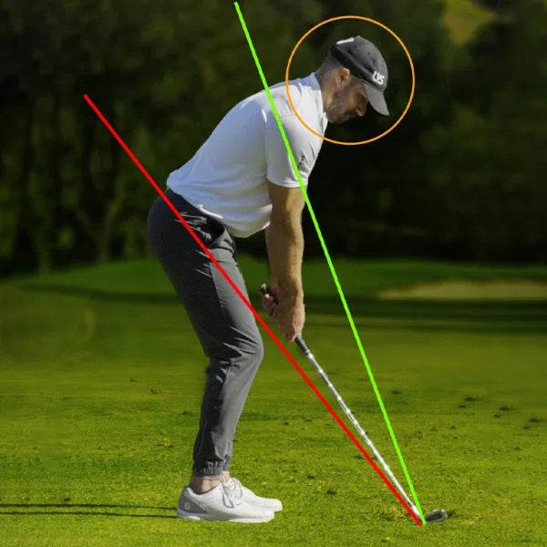 LiveView Pro 2 Swing Camera